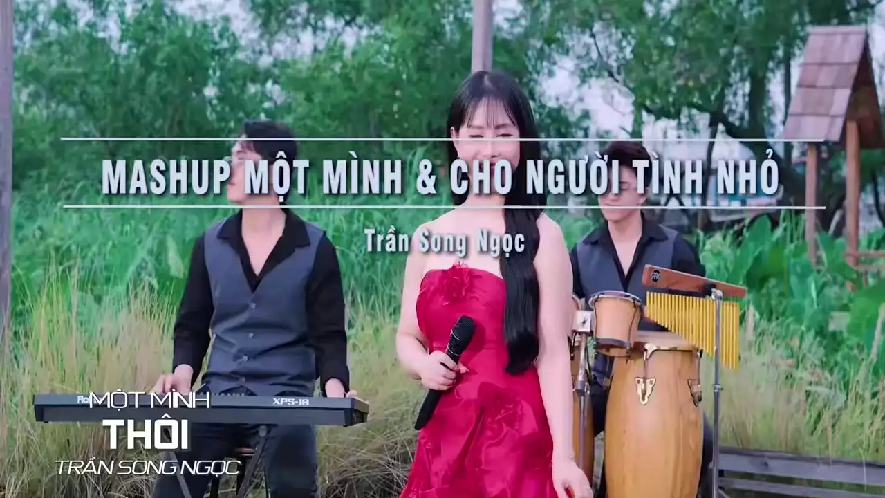 Ảnh bài hát Mashup Một Mình Thôi & Cho Người Tình Nhỏ