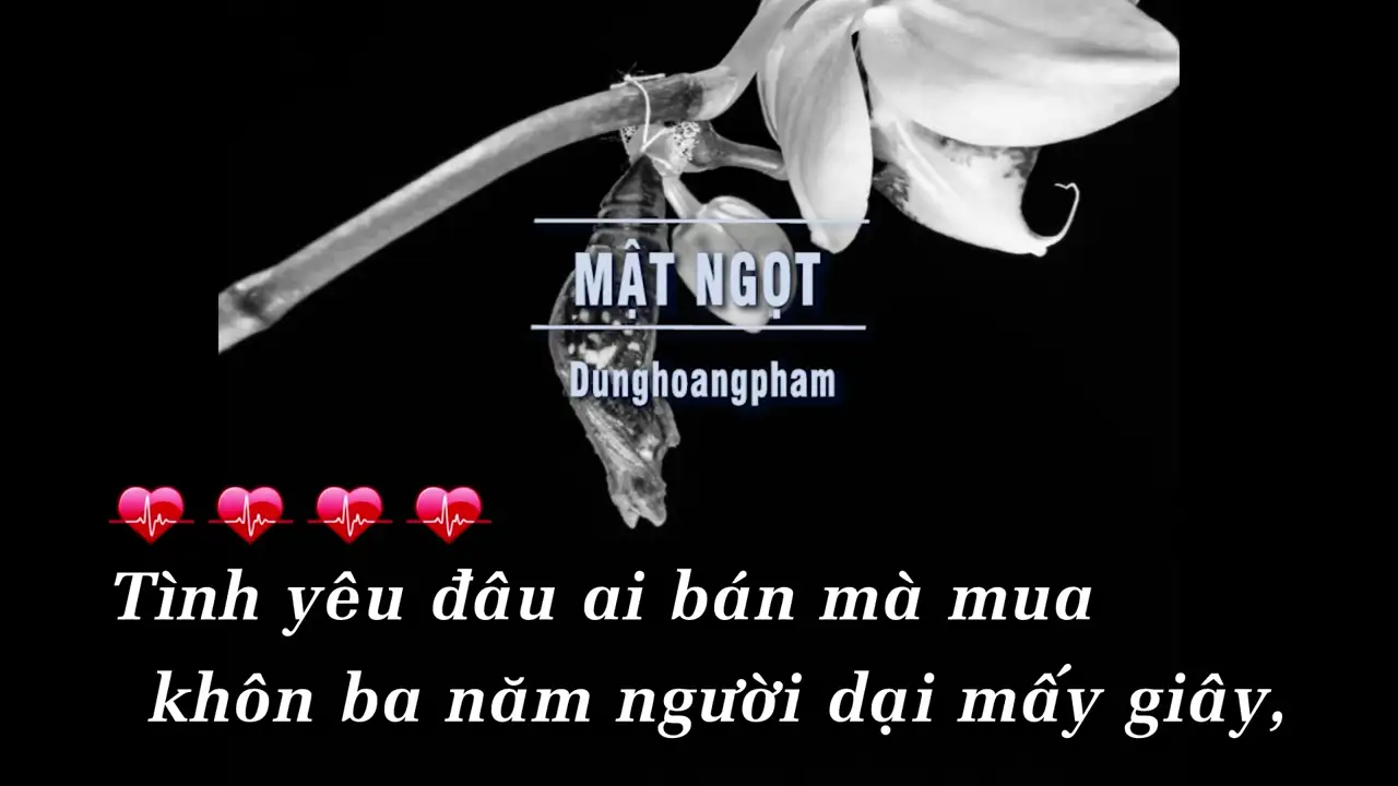 Ảnh bài hát Mật Ngọt