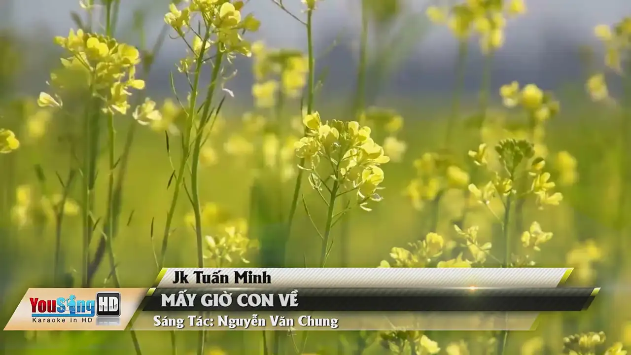 Ảnh bài hát Mấy Giờ Con Về