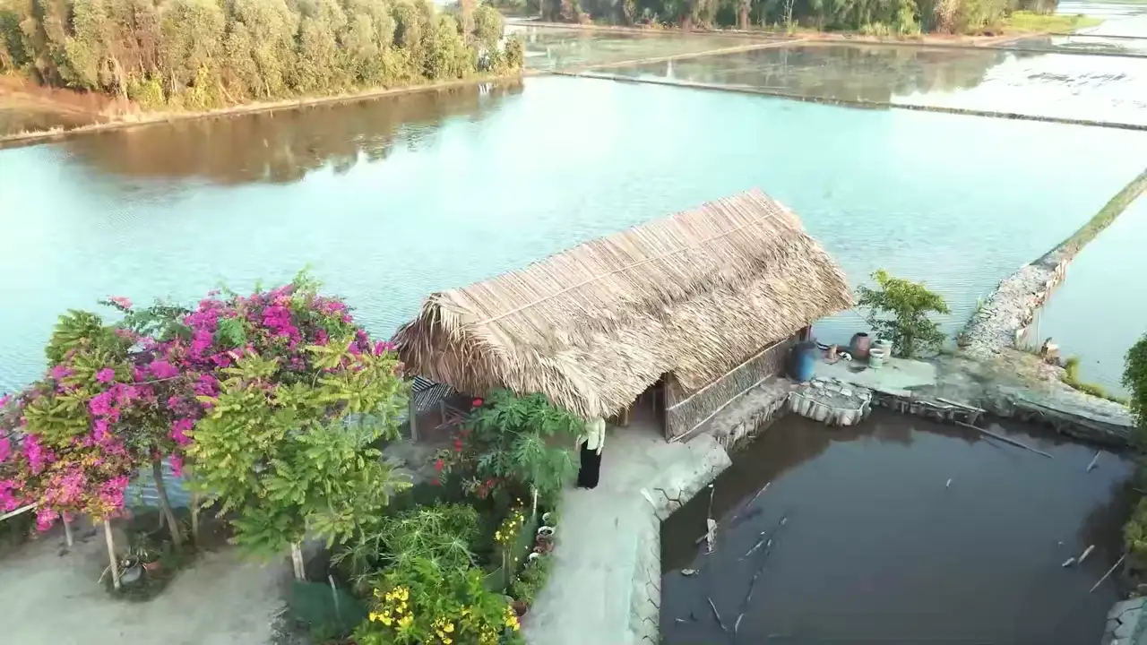 Ảnh bài hát Mẹ Bỏ Con Rồi