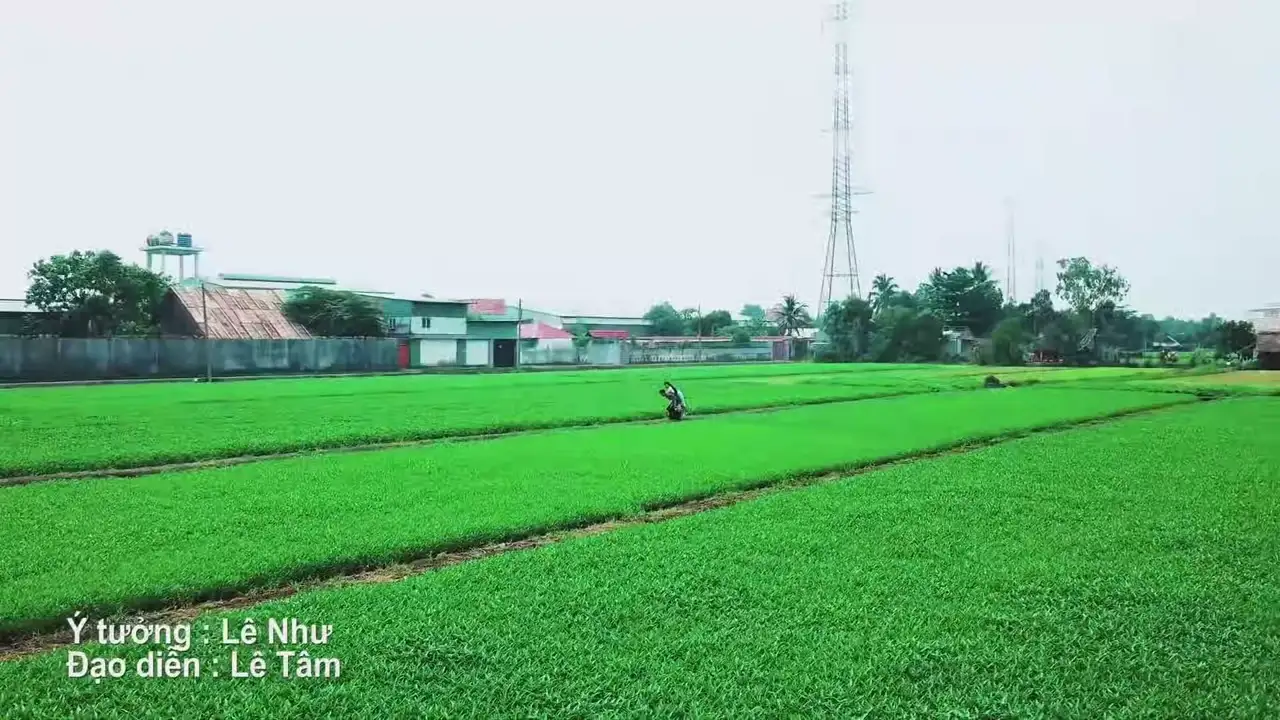 Ảnh bài hát Mẹ Chồng Tôi