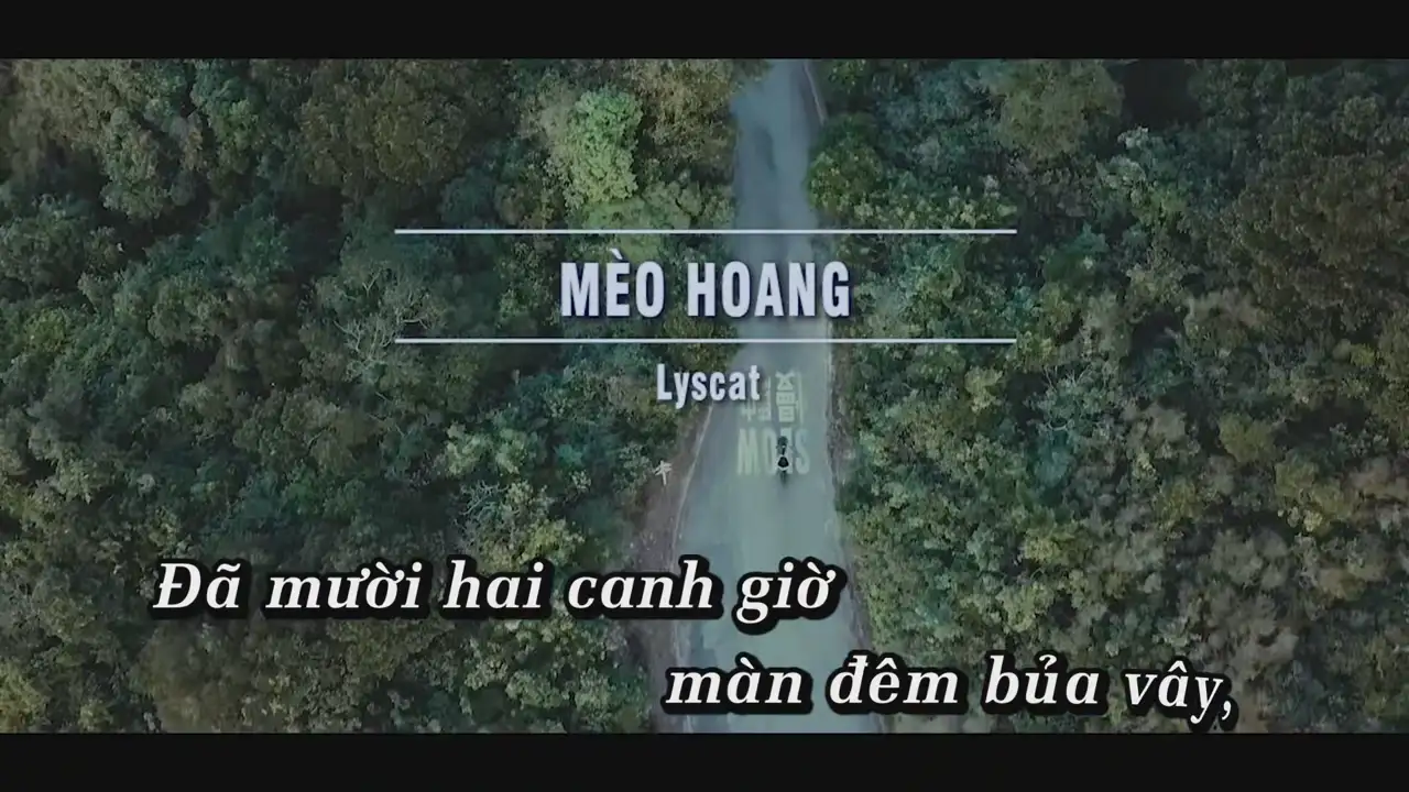 Ảnh bài hát Mèo Hoang