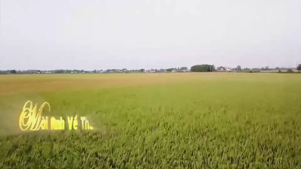 Ảnh bài hát Mời Anh Về Thăm Quê Em