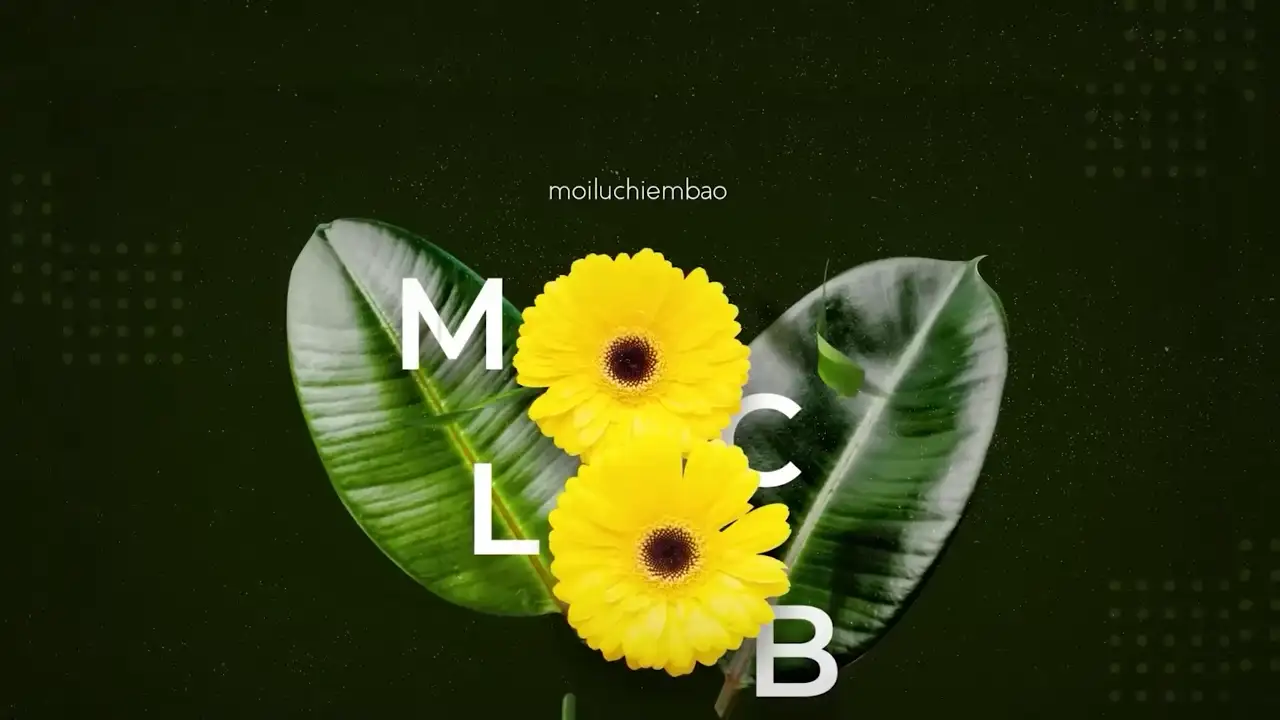 Ảnh bài hát Mỗi Lúc Chiêm Bao
