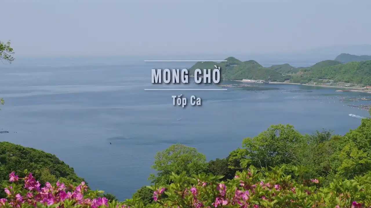 Ảnh bài hát Mong Chờ