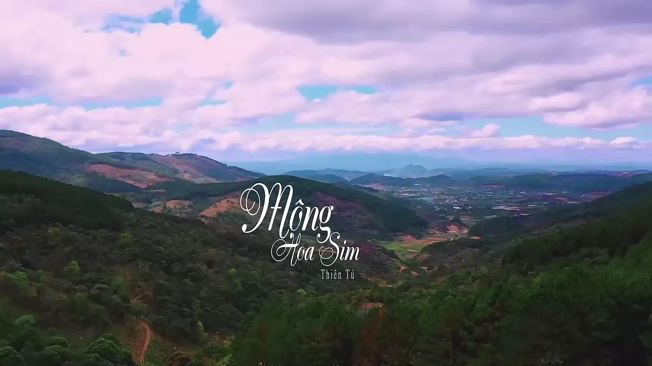 Ảnh bài hát Mộng Hoa Sim