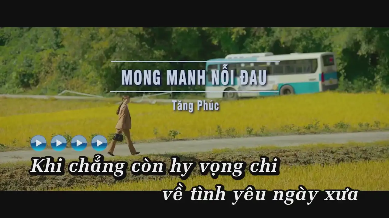 Ảnh bài hát Mong Manh Nỗi Đau
