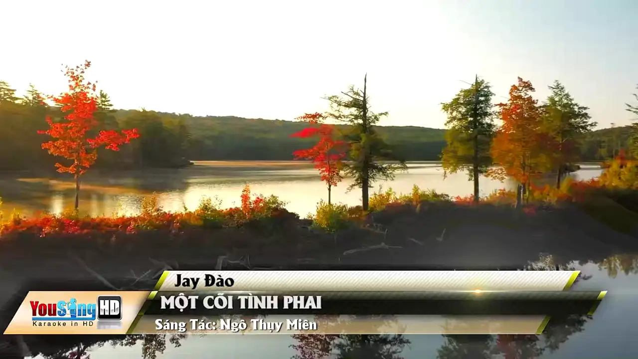 Ảnh bài hát Một Cõi Tình Phai