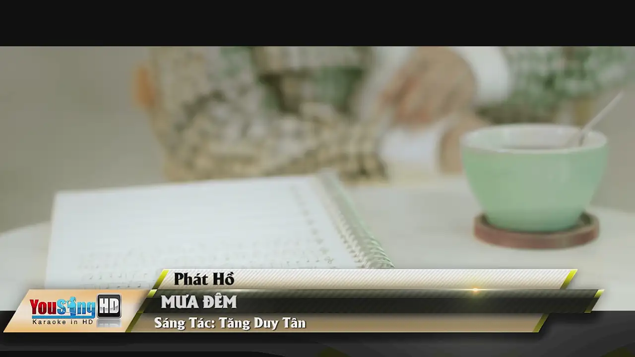 Ảnh bài hát Mưa Đêm