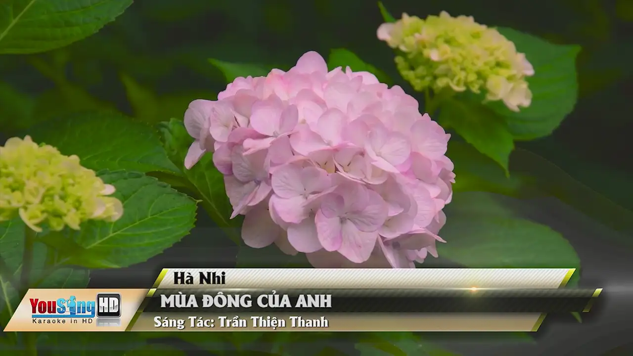 Ảnh bài hát Mùa Đông Của Anh