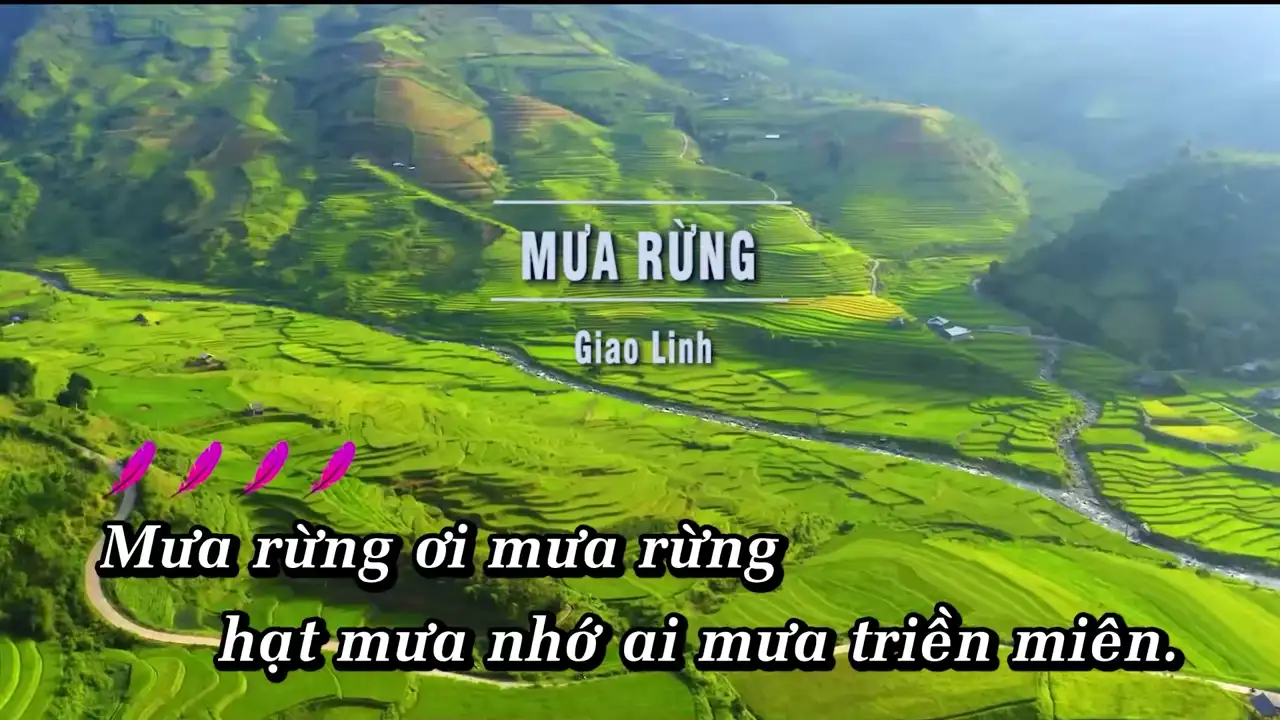 Ảnh bài hát Mưa Rừng