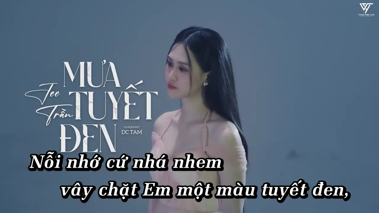Ảnh bài hát Mưa Tuyết Đen