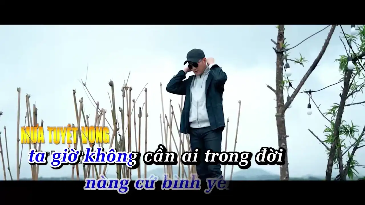 Ảnh bài hát Mưa Tuyệt Vọng (New Version)