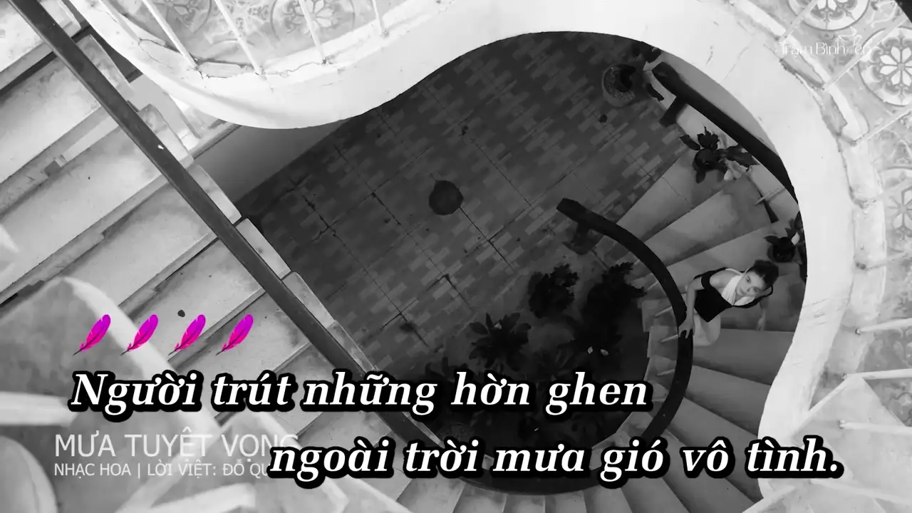 Ảnh bài hát Mưa Tuyệt Vọng