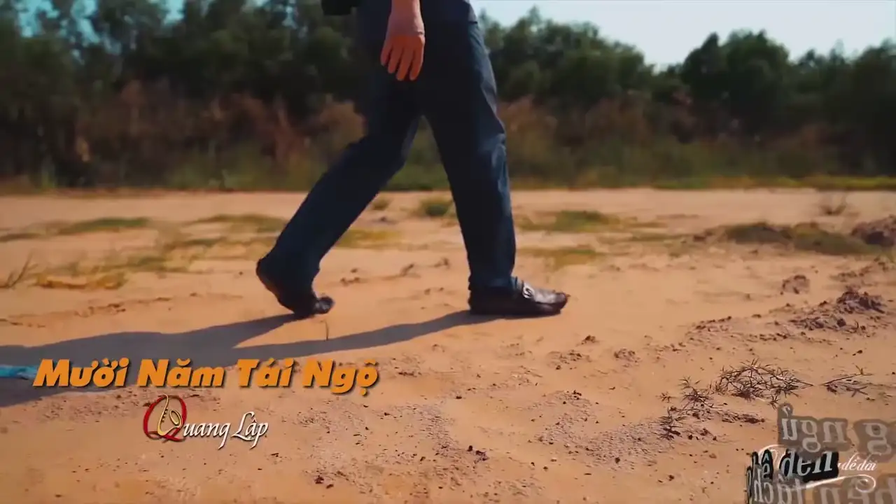 Ảnh bài hát Mười Năm Tái Ngộ