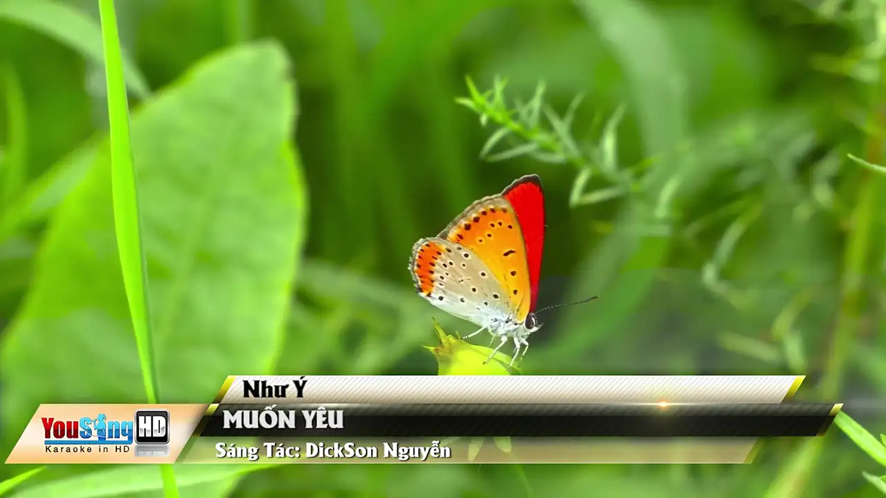 Ảnh bài hát Muốn Yêu