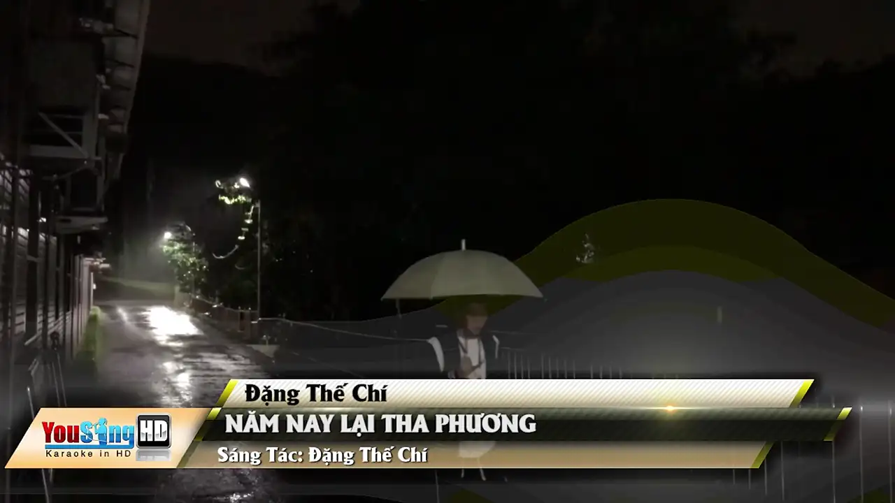 Ảnh bài hát Năm Nay Lại Tha Phương