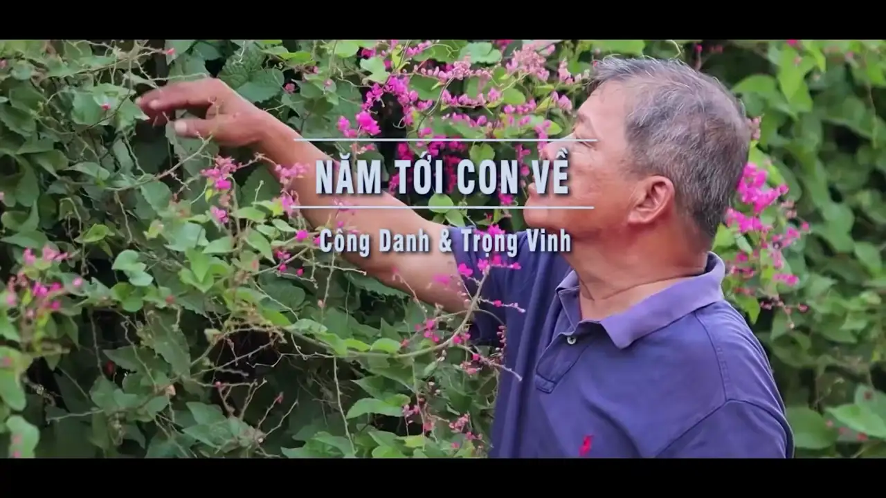 Ảnh bài hát Năm Tới Con Về