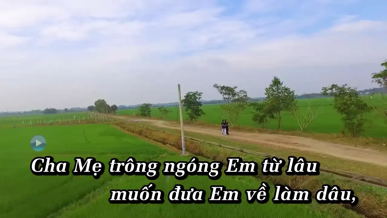Ảnh bài hát Nàng Dâu Tương Lai