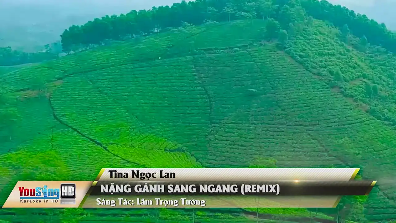 Ảnh bài hát Nặng Gánh Sang Ngang (Remix)