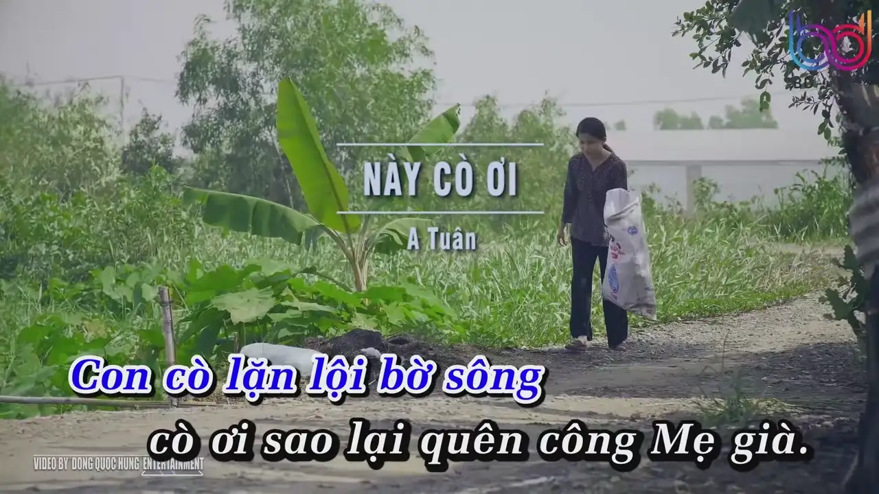 Ảnh bài hát Này Cò Ơi