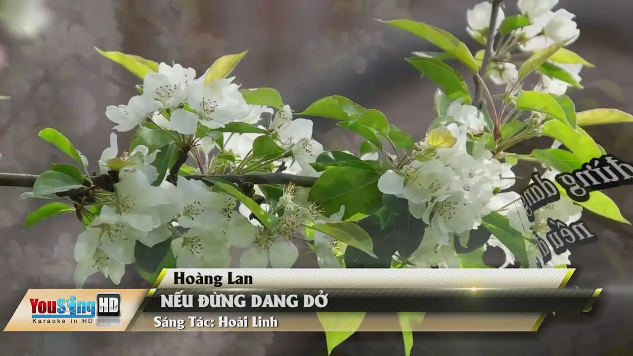 Ảnh bài hát Nếu Đừng Dang Dở