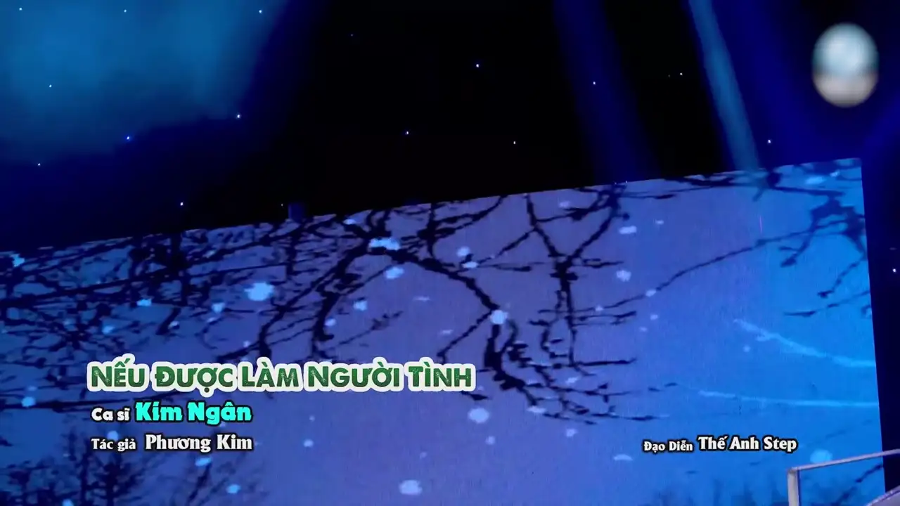 Ảnh bài hát Nếu Được Làm Người Tình