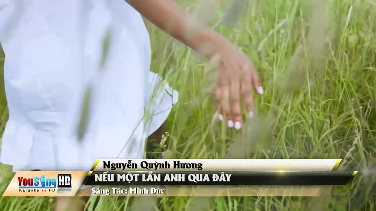 Ảnh bài hát Nếu Một Lần Anh Qua Đây
