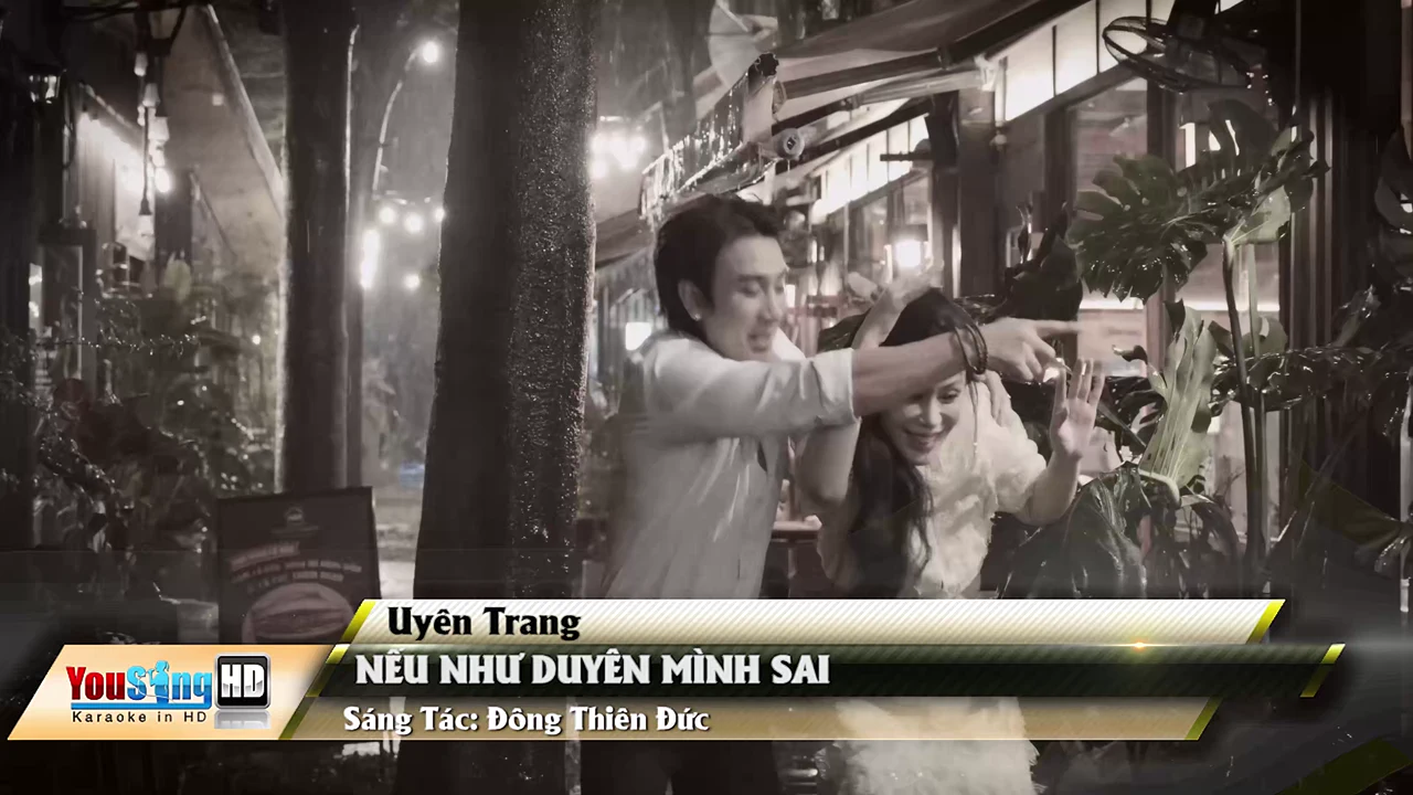 Ảnh bài hát Nếu Như Duyên Mình Sai