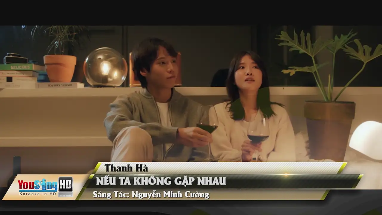Ảnh bài hát Nếu Ta Không Gặp Nhau