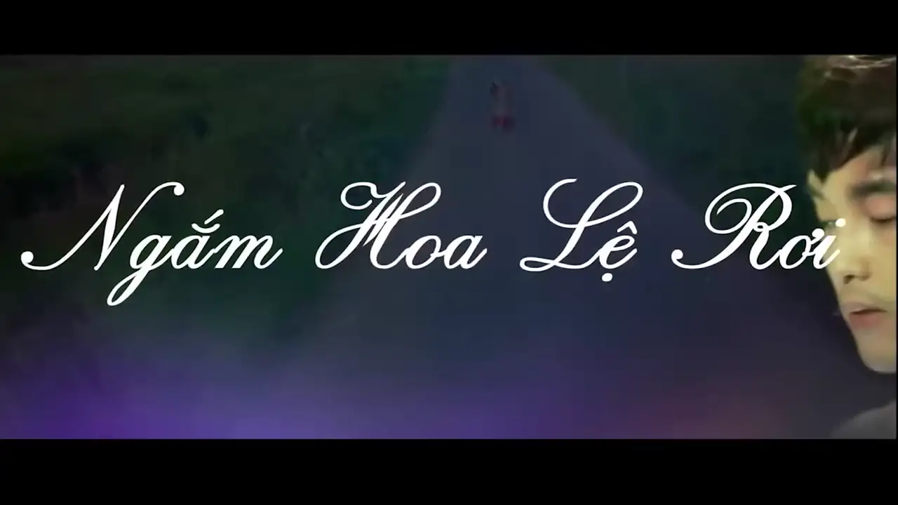 Ảnh bài hát Ngắm Hoa Lệ Rơi