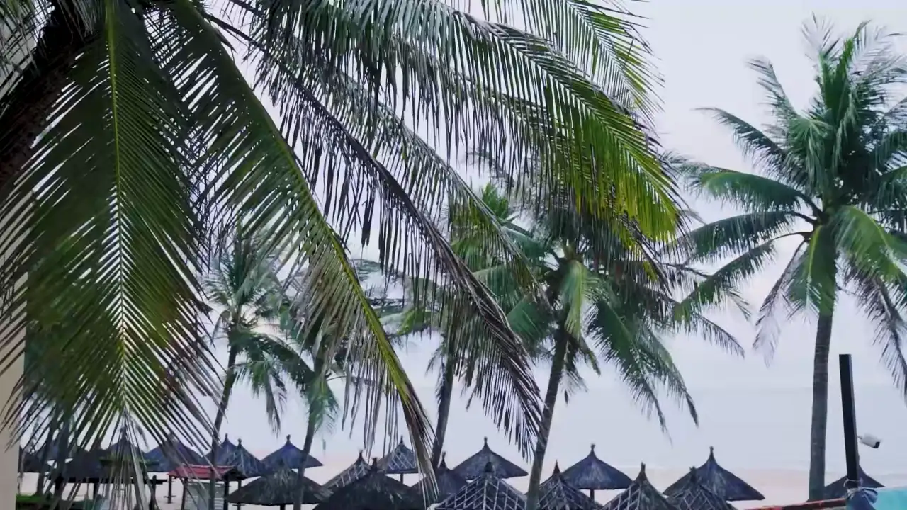 Ảnh bài hát Ngày Nỗi Đau Bắt Đầu