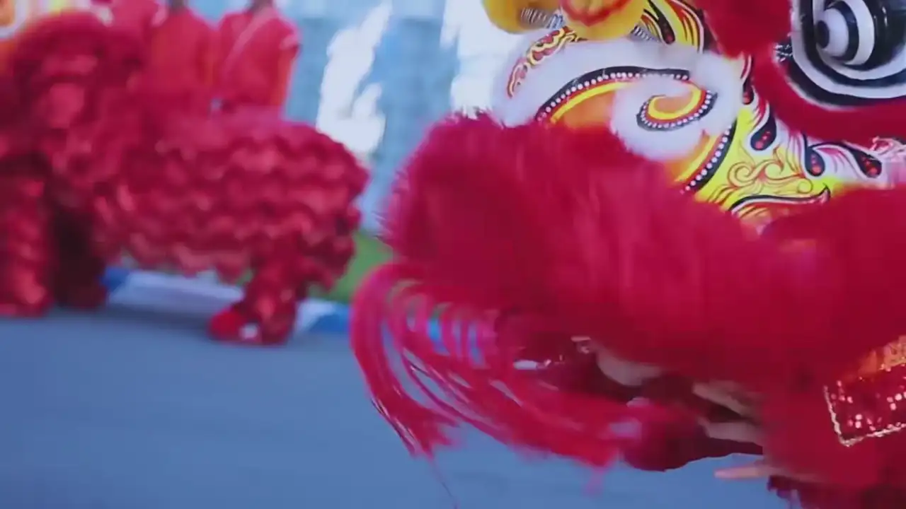Ảnh bài hát Ngày Xuân Nên Đôi