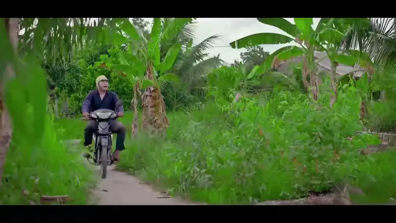 Ảnh bài hát Ngôi Nhà Và Đống Rơm