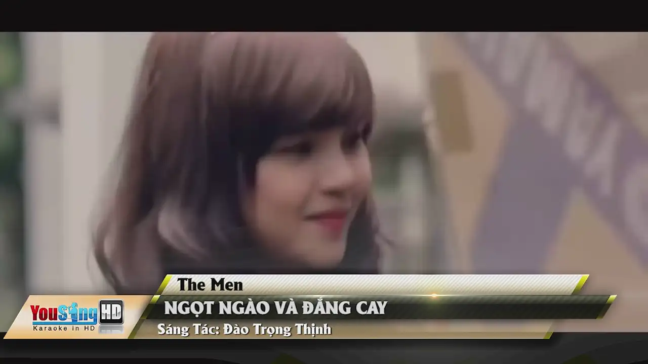 Ảnh bài hát Ngọt Ngào Và Đắng Cay