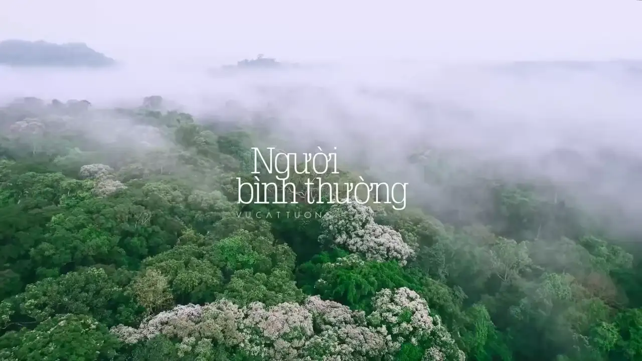 Ảnh bài hát Người Bình Thường