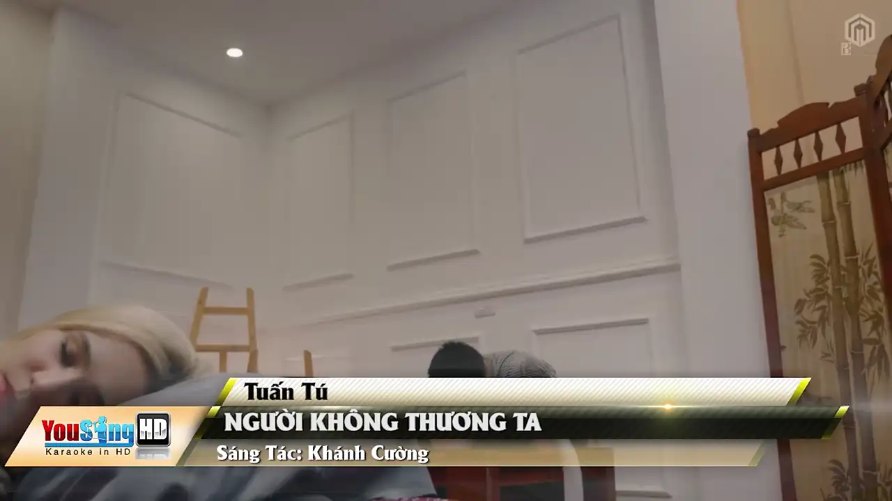 Ảnh bài hát Người Không Thương Ta