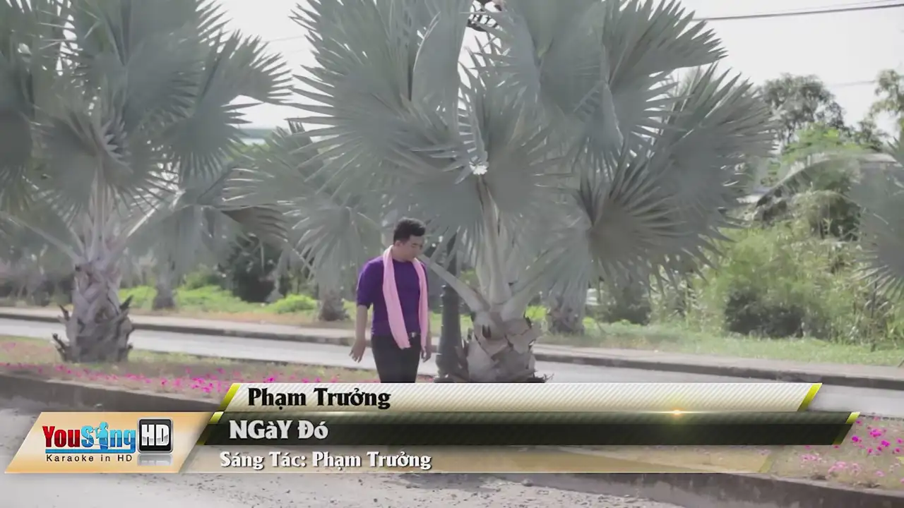 Ảnh bài hát Người Vô Tình Thế Sao