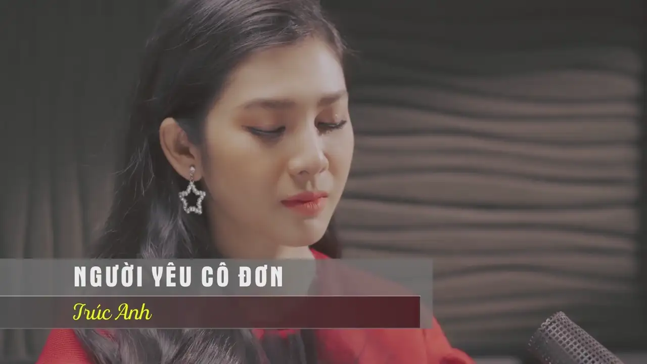 Ảnh bài hát Người Yêu Cô Đơn