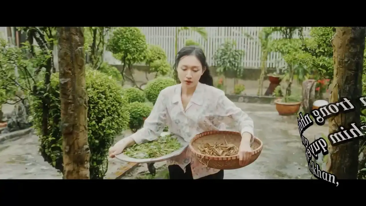 Ảnh bài hát Nguyện Ước Cánh Chim Quyên
