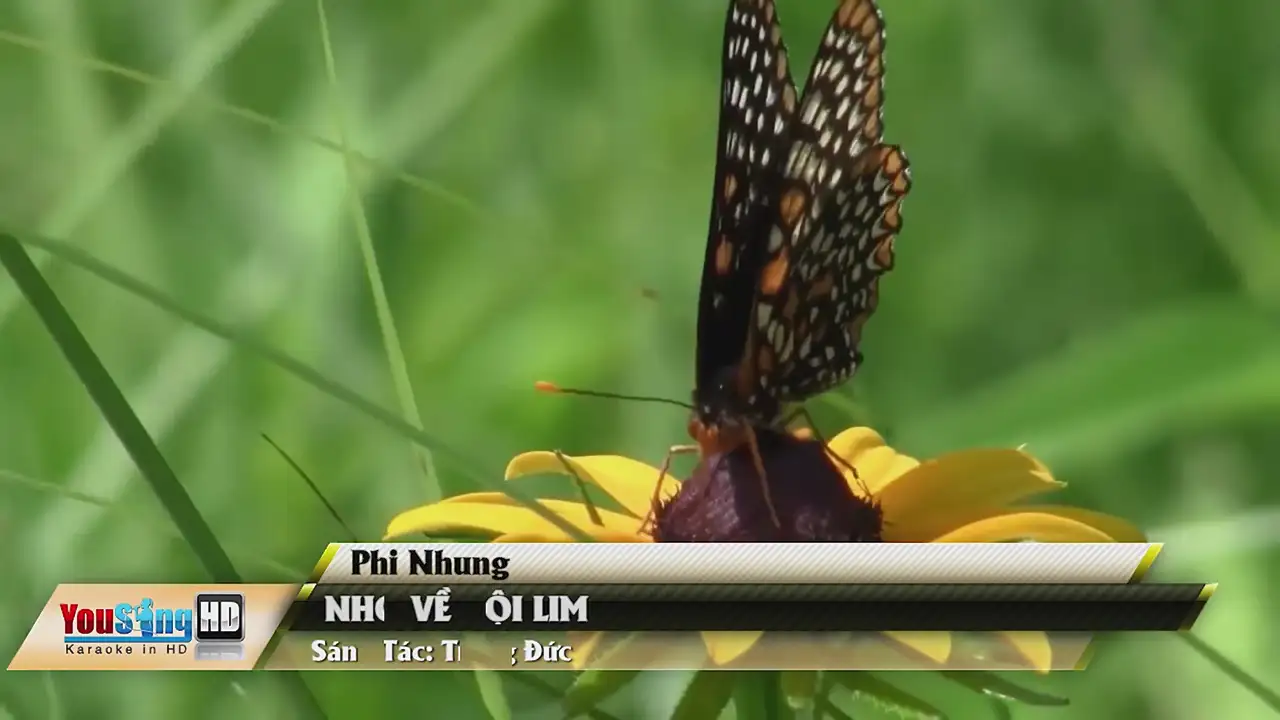 Ảnh bài hát Nhớ Về Hội Lim