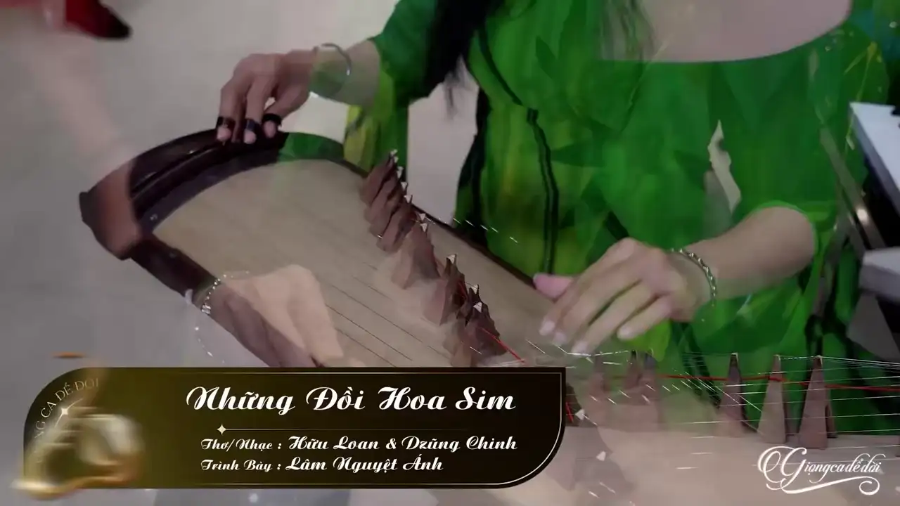 Ảnh bài hát Những Đồi Hoa Sim