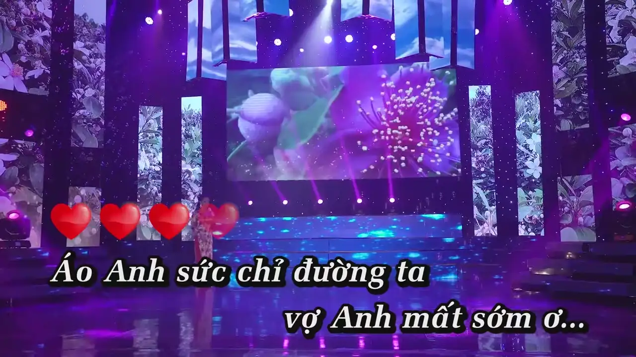 Ảnh bài hát Những Đồi Hoa Sim