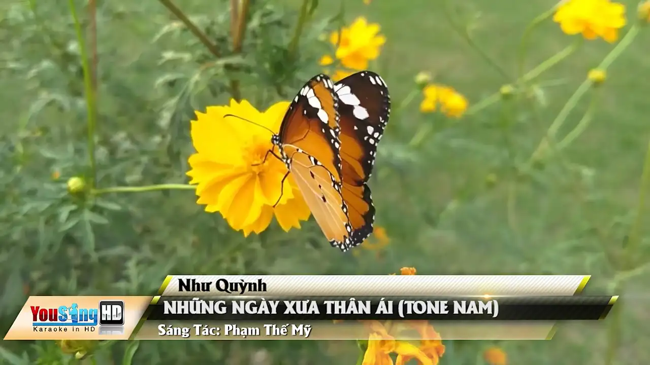 Ảnh bài hát Những Ngày Xưa Thân Ái (Tone Nam)