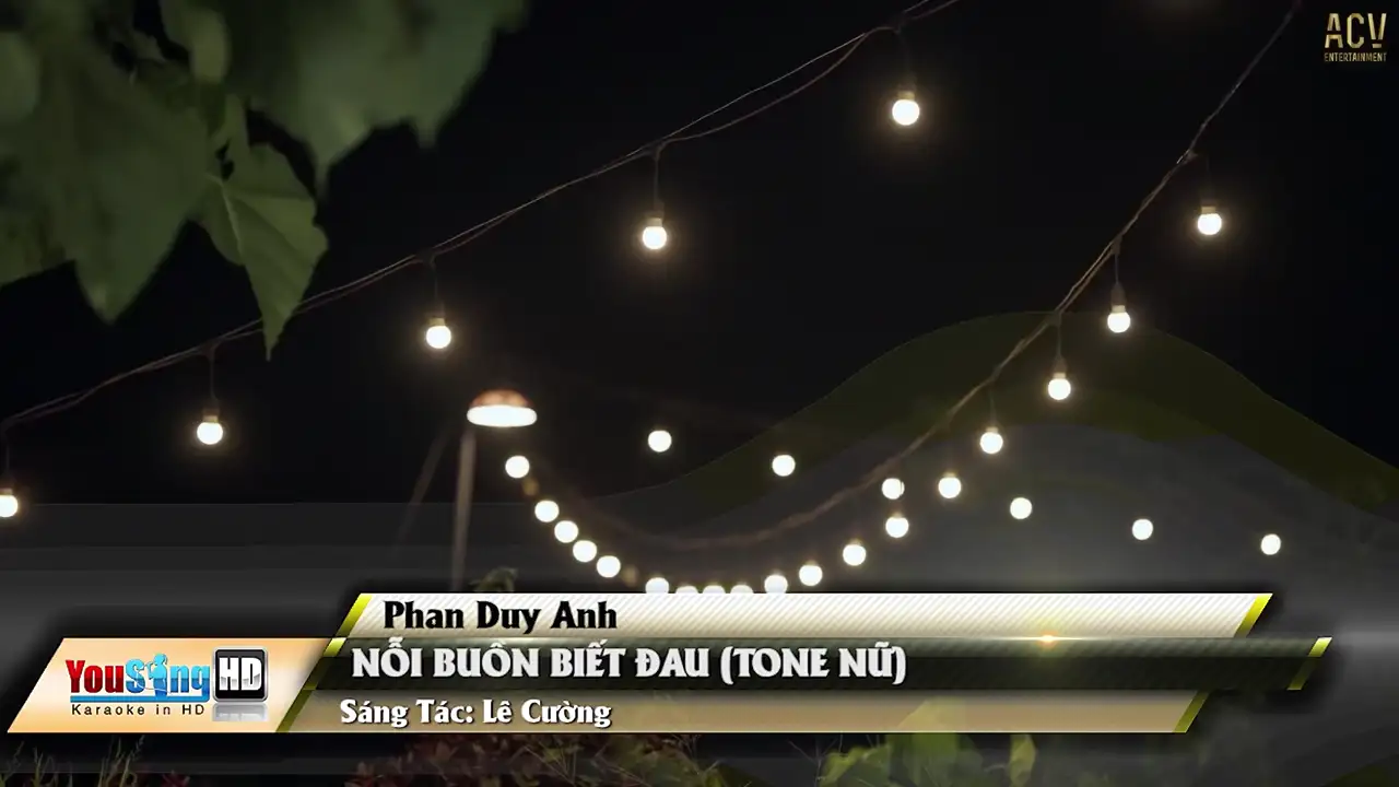 Ảnh bài hát Nỗi Buồn Biết Đau (Tone Nữ)