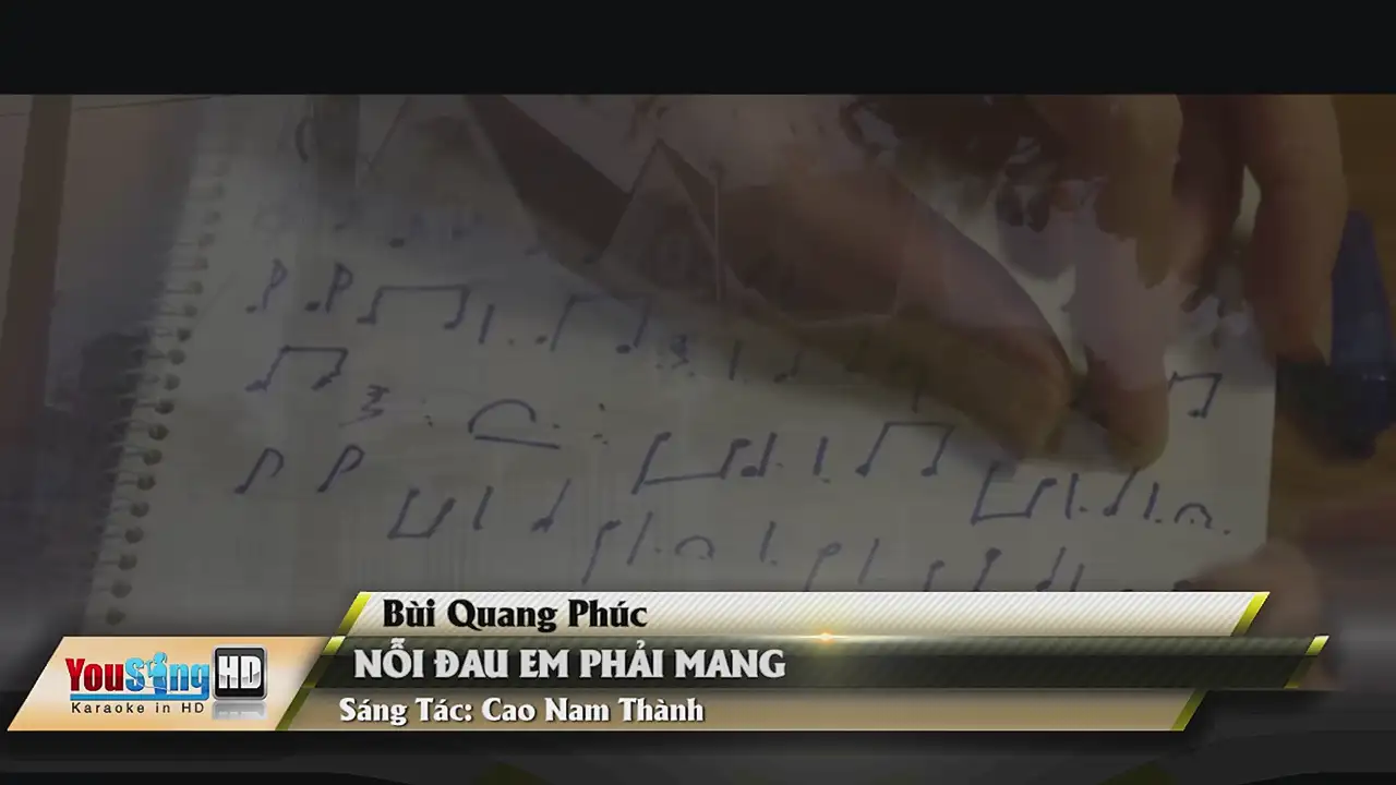 Ảnh bài hát Nỗi Đau Em Phải Mang