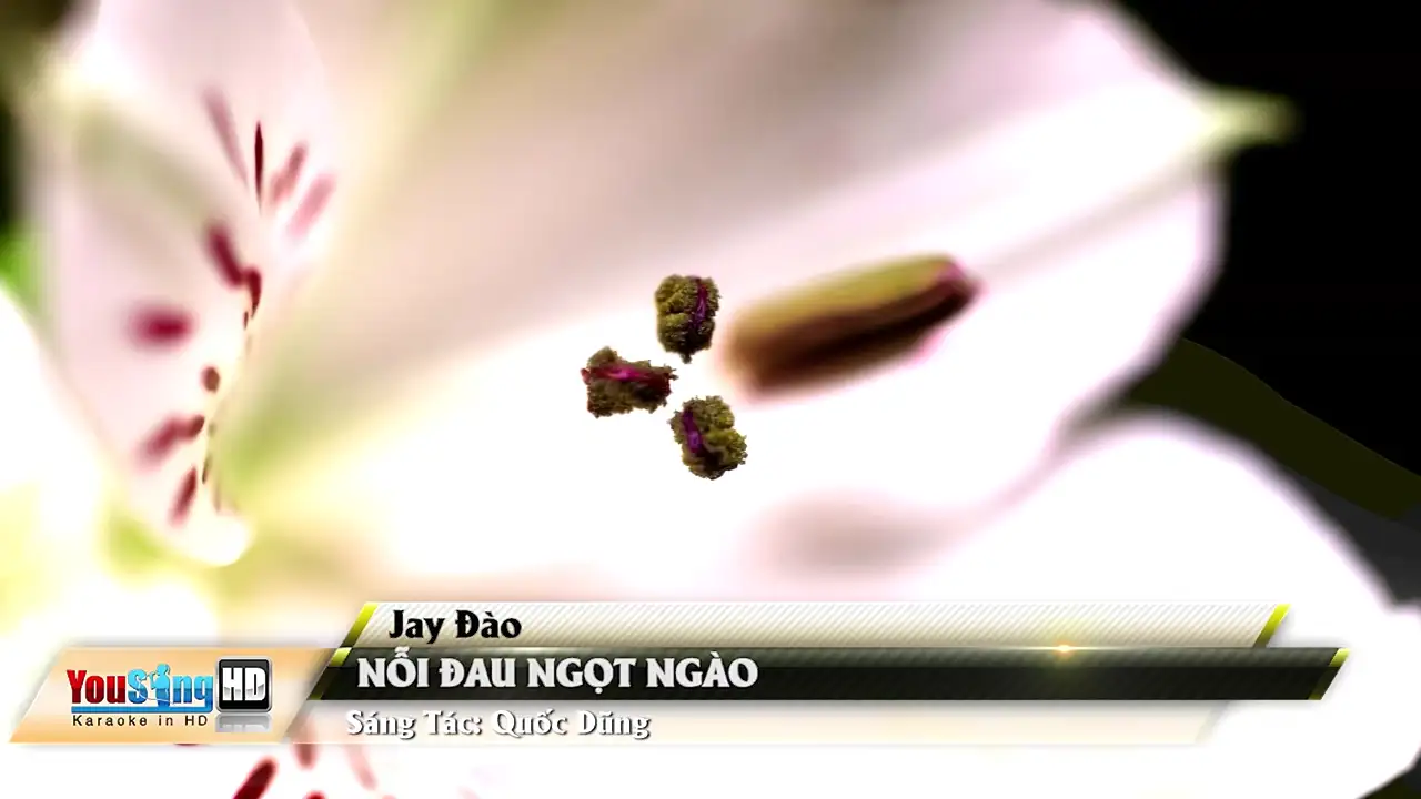 Ảnh bài hát Nỗi Đau Ngọt Ngào