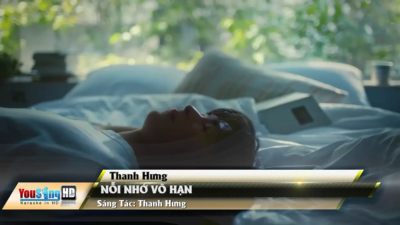 Ảnh bài hát Nỗi Nhớ Vô Hạn