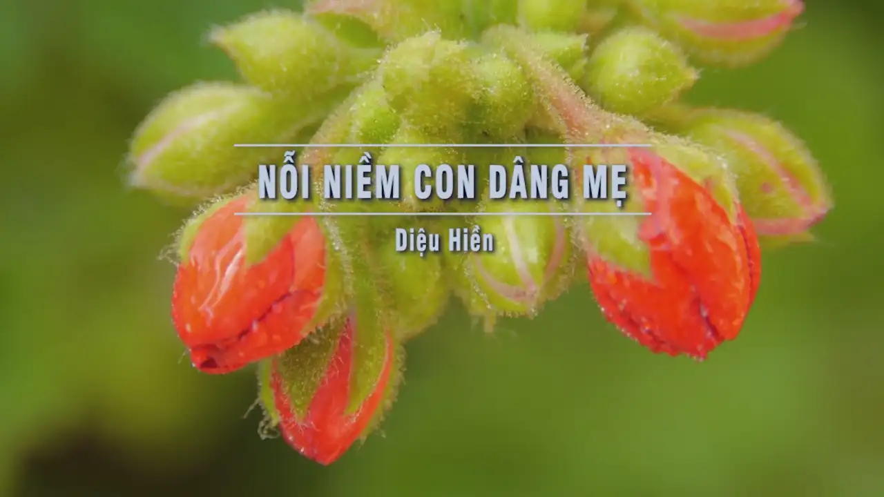 Ảnh bài hát Nỗi Niềm Con Dâng Mẹ