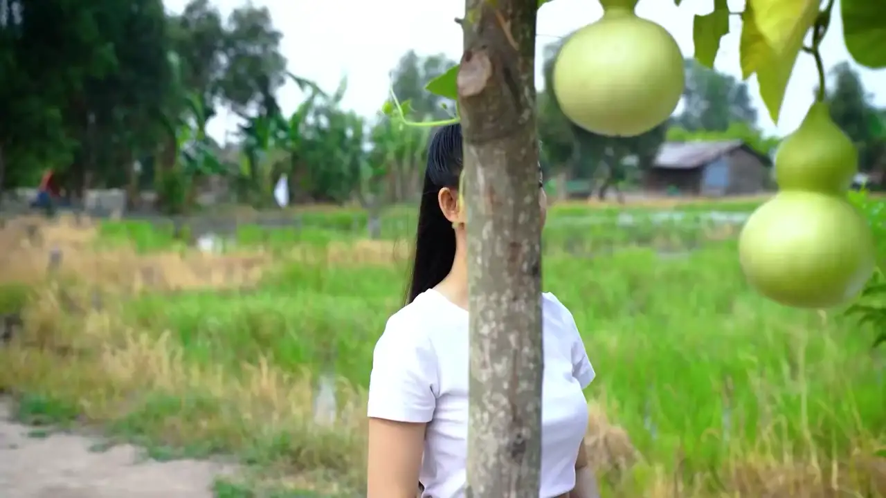 Ảnh bài hát Nội Tôi